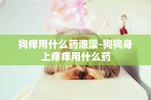 狗癢用什么藥泡澡-狗狗身上癢癢用什么藥