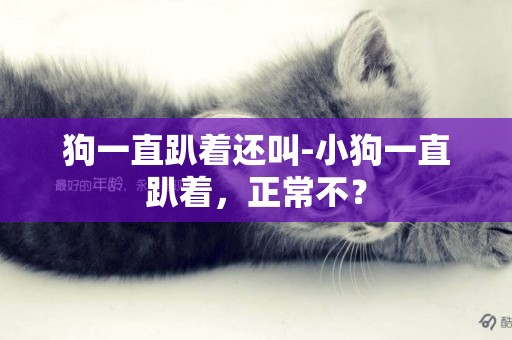 狗一直趴著還叫-小狗一直趴著，正常不？