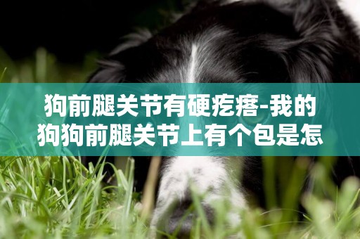 狗前腿關節有硬疙瘩-我的狗狗前腿關節上有個包是怎么了···