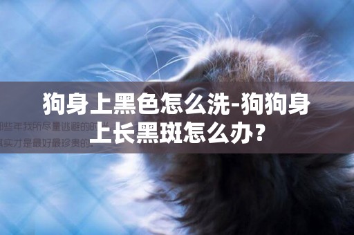 狗身上黑色怎么洗-狗狗身上長黑斑怎么辦？