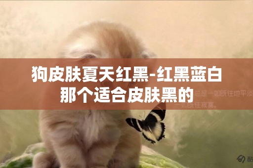 狗皮膚夏天紅黑-紅黑藍白那個適合皮膚黑的