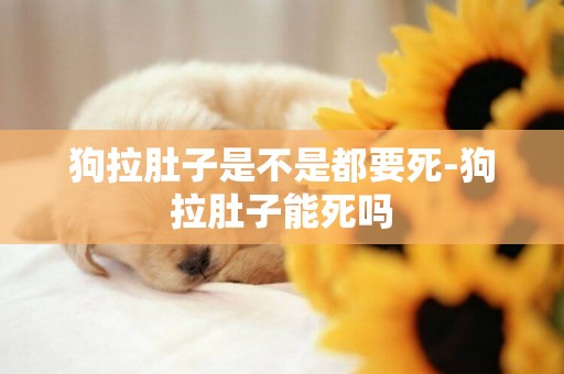 狗拉肚子是不是都要死-狗拉肚子能死嗎