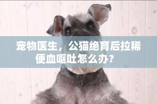 寵物醫生，公貓絕育后拉稀便血嘔吐怎么辦？ 