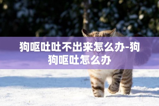 狗嘔吐吐不出來怎么辦-狗狗嘔吐怎么辦