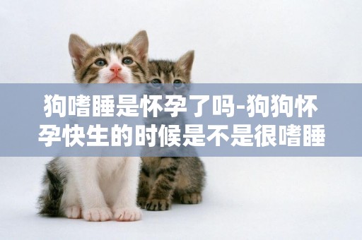 狗嗜睡是懷孕了嗎-狗狗懷孕快生的時候是不是很嗜睡？