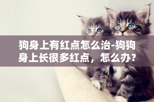 狗身上有紅點怎么治-狗狗身上長很多紅點，怎么辦？