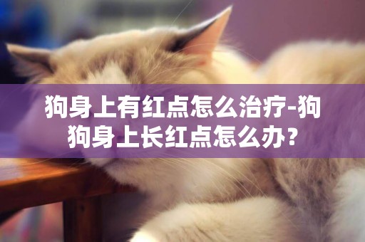 狗身上有紅點怎么治療-狗狗身上長紅點怎么辦？