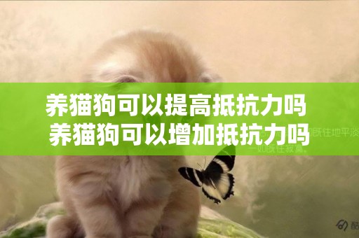 養貓狗可以提高抵抗力嗎 養貓狗可以增加抵抗力嗎
