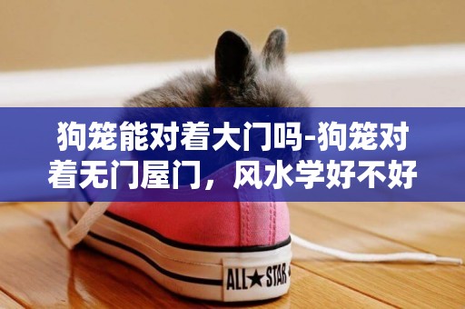 狗籠能對著大門嗎-狗籠對著無門屋門，風水學好不好？