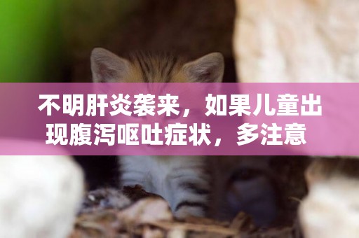 不明肝炎襲來，如果兒童出現腹瀉嘔吐癥狀，多注意 