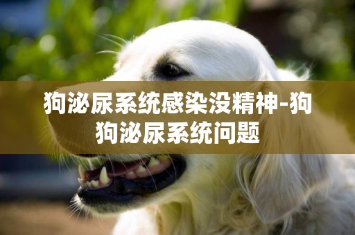 狗泌尿系統感染沒精神-狗狗泌尿系統問題