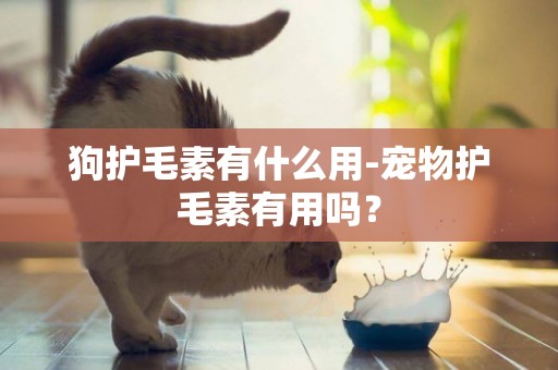 狗護毛素有什么用-寵物護毛素有用嗎？