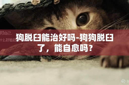狗脫臼能治好嗎-狗狗脫臼了，能自愈嗎？