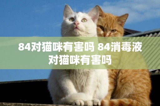 84對貓咪有害嗎 84消毒液對貓咪有害嗎