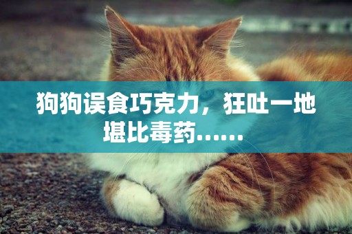 狗狗誤食巧克力，狂吐一地堪比毒藥…… 