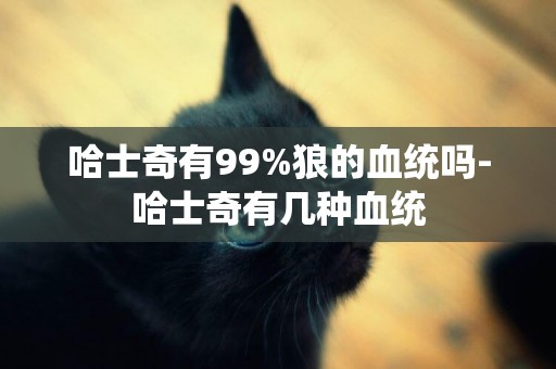 哈士奇有99%狼的血統嗎-哈士奇有幾種血統