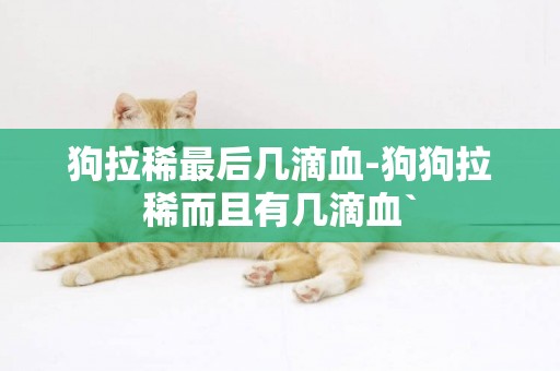 狗拉稀最后幾滴血-狗狗拉稀而且有幾滴血`