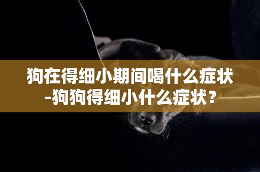 狗在得細小期間喝什么癥狀-狗狗得細小什么癥狀？