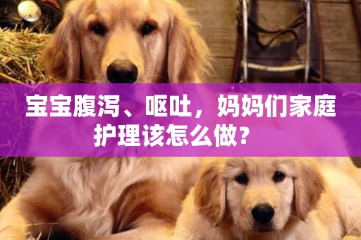 寶寶腹瀉、嘔吐，媽媽們家庭護理該怎么做？ 