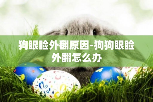 狗眼瞼外翻原因-狗狗眼瞼外翻怎么辦