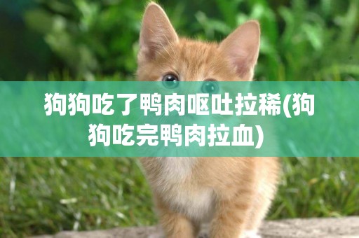 狗狗吃了鴨肉嘔吐拉稀(狗狗吃完鴨肉拉血) 