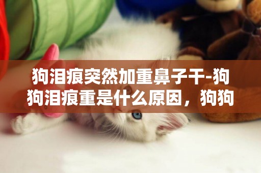 狗淚痕突然加重鼻子干-狗狗淚痕重是什么原因，狗狗突然淚痕嚴重