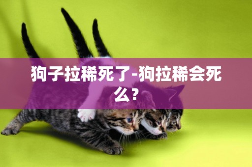 狗子拉稀死了-狗拉稀會死么？