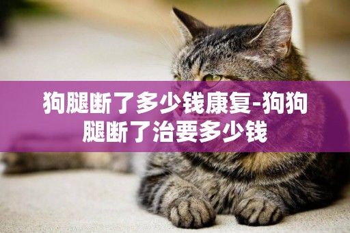 狗腿斷了多少錢康復-狗狗腿斷了治要多少錢