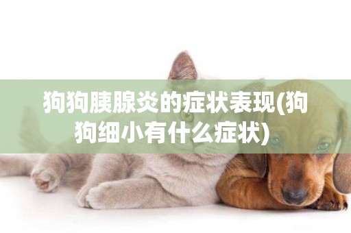 狗狗胰腺炎的癥狀表現(狗狗細小有什么癥狀) 