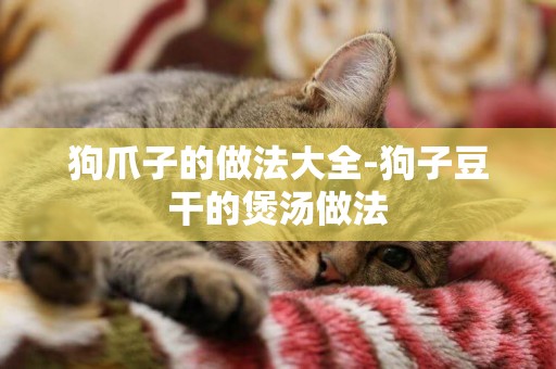 狗爪子的做法大全-狗子豆干的煲湯做法