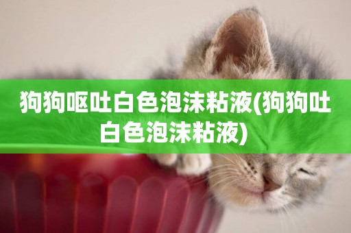 狗狗嘔吐白色泡沫粘液(狗狗吐白色泡沫粘液) 