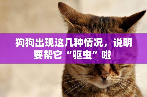 狗狗出現這幾種情況，說明要幫它“驅蟲”啦 