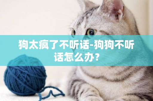 狗太瘋了不聽話-狗狗不聽話怎么辦？