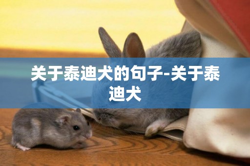 關于泰迪犬的句子-關于泰迪犬