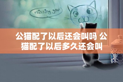 公貓配了以后還會叫嗎 公貓配了以后多久還會叫