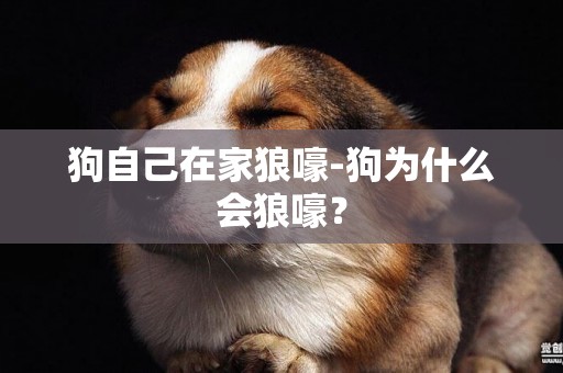 狗自己在家狼嚎-狗為什么會狼嚎？