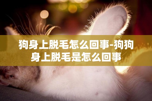 狗身上脫毛怎么回事-狗狗身上脫毛是怎么回事
