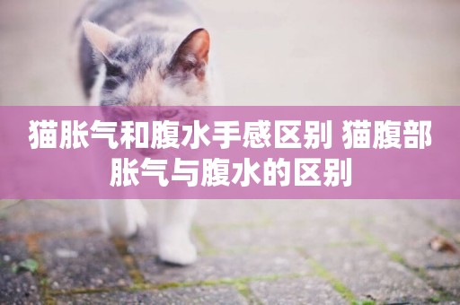 貓脹氣和腹水手感區別 貓腹部脹氣與腹水的區別