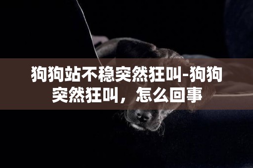 狗狗站不穩突然狂叫-狗狗突然狂叫，怎么回事