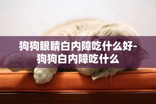 狗狗眼睛白內障吃什么好-狗狗白內障吃什么