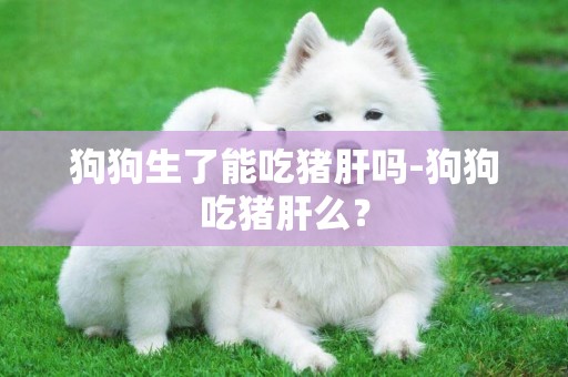 狗狗生了能吃豬肝嗎-狗狗吃豬肝么？
