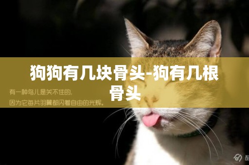狗狗有幾塊骨頭-狗有幾根骨頭