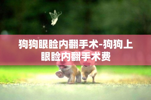狗狗眼瞼內翻手術-狗狗上眼瞼內翻手術費