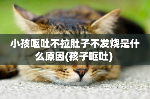 小孩嘔吐不拉肚子不發燒是什么原因(孩子嘔吐) 