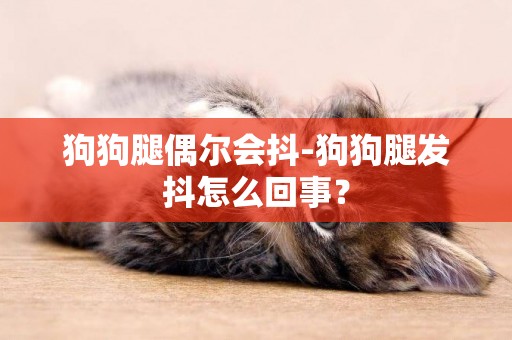 狗狗腿偶爾會抖-狗狗腿發抖怎么回事？