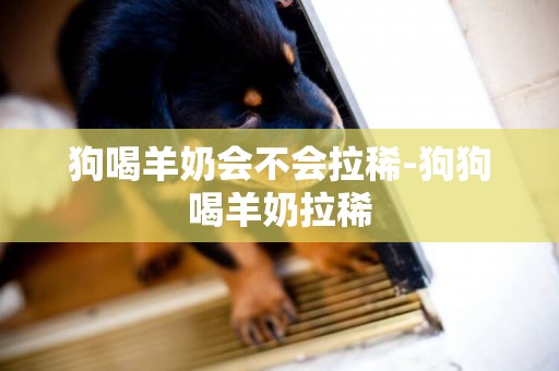 狗喝羊奶會不會拉稀-狗狗喝羊奶拉稀