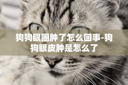 狗狗眼圈腫了怎么回事-狗狗眼皮腫是怎么了