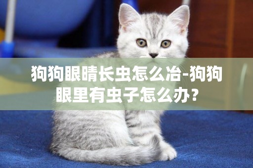 狗狗眼晴長蟲怎么冶-狗狗眼里有蟲子怎么辦？