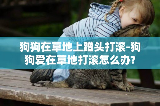 狗狗在草地上蹭頭打滾-狗狗愛在草地打滾怎么辦?