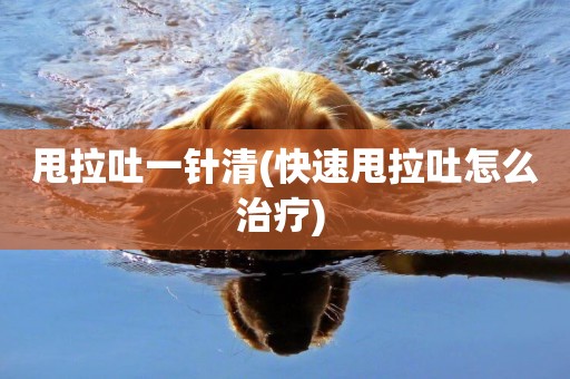 甩拉吐一針清(快速甩拉吐怎么治療) 